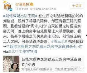 卓伟预告爆料视频大全,揭秘娱乐圈幕后真相